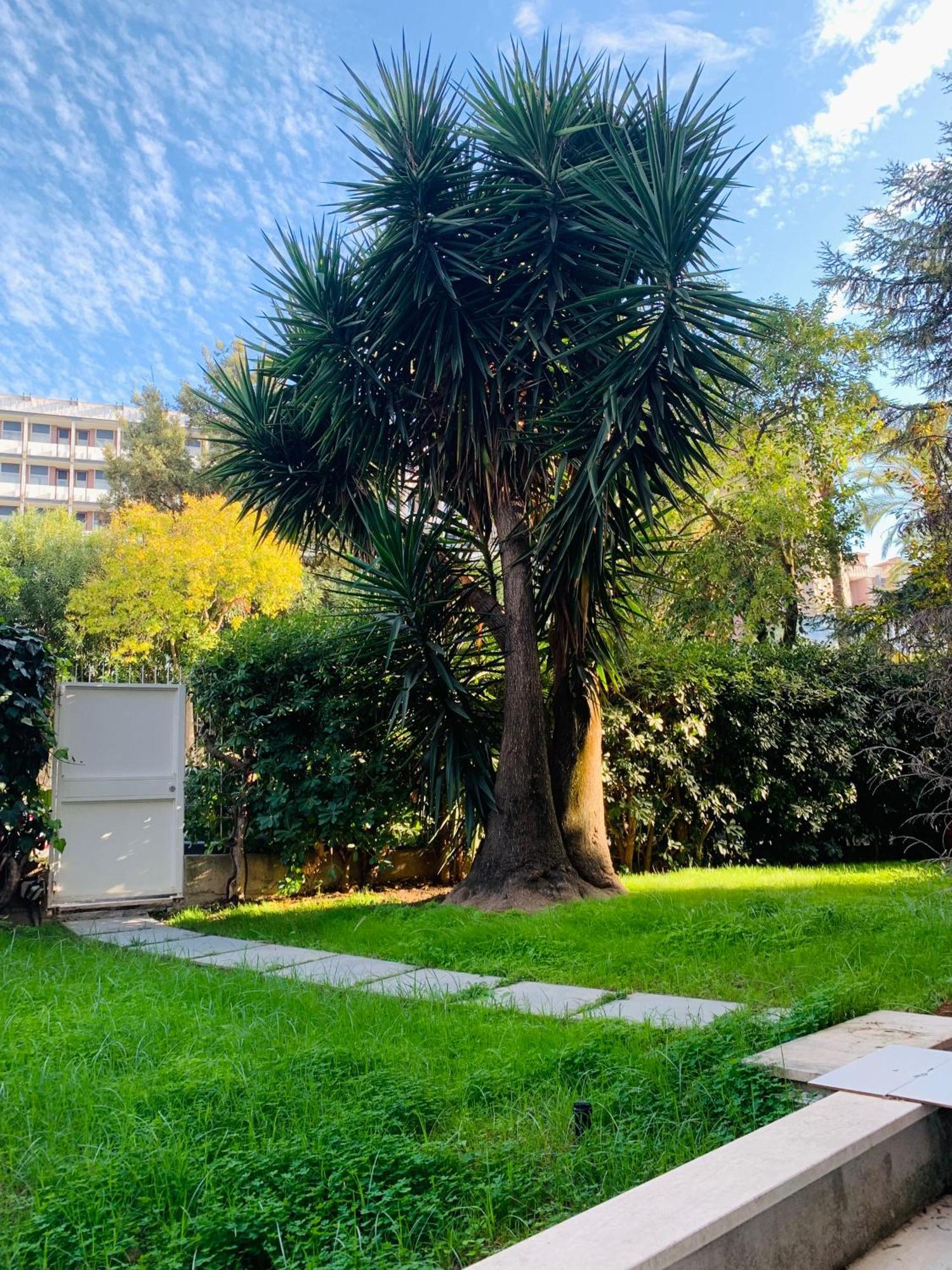 Garden By Casa Proto Guest house Rome